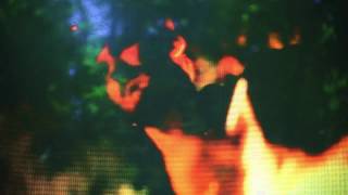 Muuy Biien - Fallin Out (Reprise)