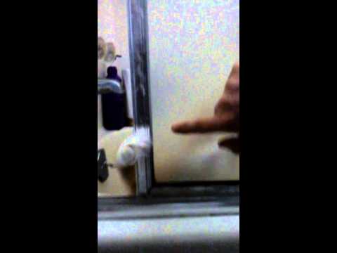 Shower Pussy Cat: Banana the Kitten