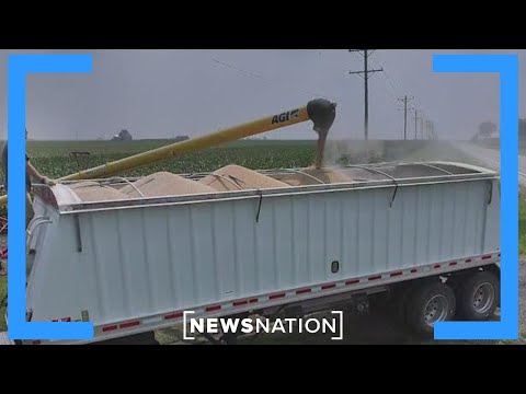 USDA aid restarts as farmers race to plan next season | Morning in America