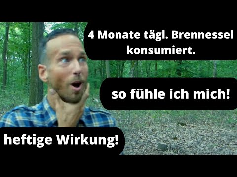 , title : 'Das passiert wenn du täglich Brennessel konsumierst- heftige Wirkung!'