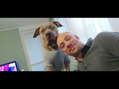 Franco030 -  Die Auferstehung  (Krankheit Depressionen Kummer krankes System alles wird weggesteckt)