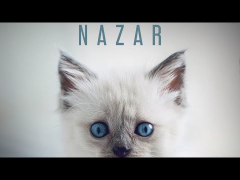 Max Freegrant - Nazar