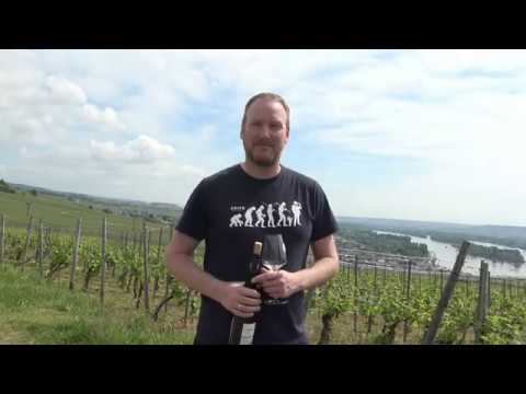 Weintaxi Wiesbaden - Weingut Leitz - Hintergrundwissen