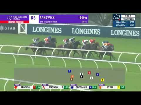 Bondi Stakes 2020 Peltzer