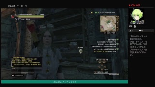 ドラゴンズドグマオンラインやります　2