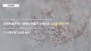 [주일예배] 요한복음 #35 : 생명의 부활의 능력으로 오늘을 살아가라