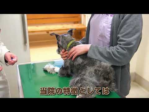 とがさき動物病院