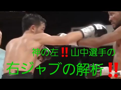 【神の左】山中選手の右ジャブの解析動画‼️【あえての】