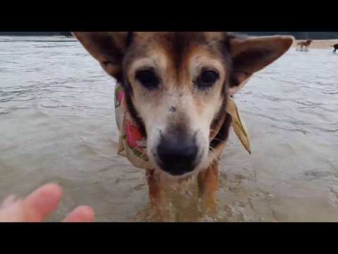 Lovey, Chrissy & Lainey the 3 Bodhi Babes on the Beach| The Bodhi Shelter