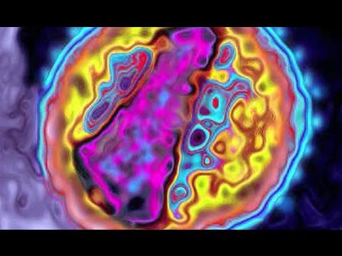 Mysteries of the Immune System Video - Brigham and Women's Hospital