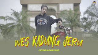 Download lagu WES KADUNG JERU - Cantika Nuswantoro - MUSIC VIDEO mp3 Download lagu WES KADUNG JERU - Cantika Nuswantoro - MUSIC VIDEO mp3