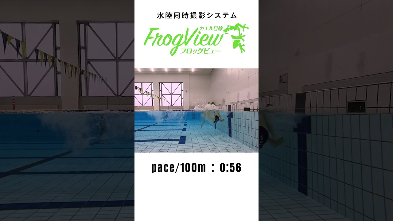 【FrogView】カエル目線でスイマーを撮影する【FrogView】 #swimming #水中撮影