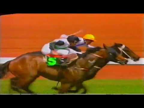 1993 VRC Derby Day Races 1 and 2