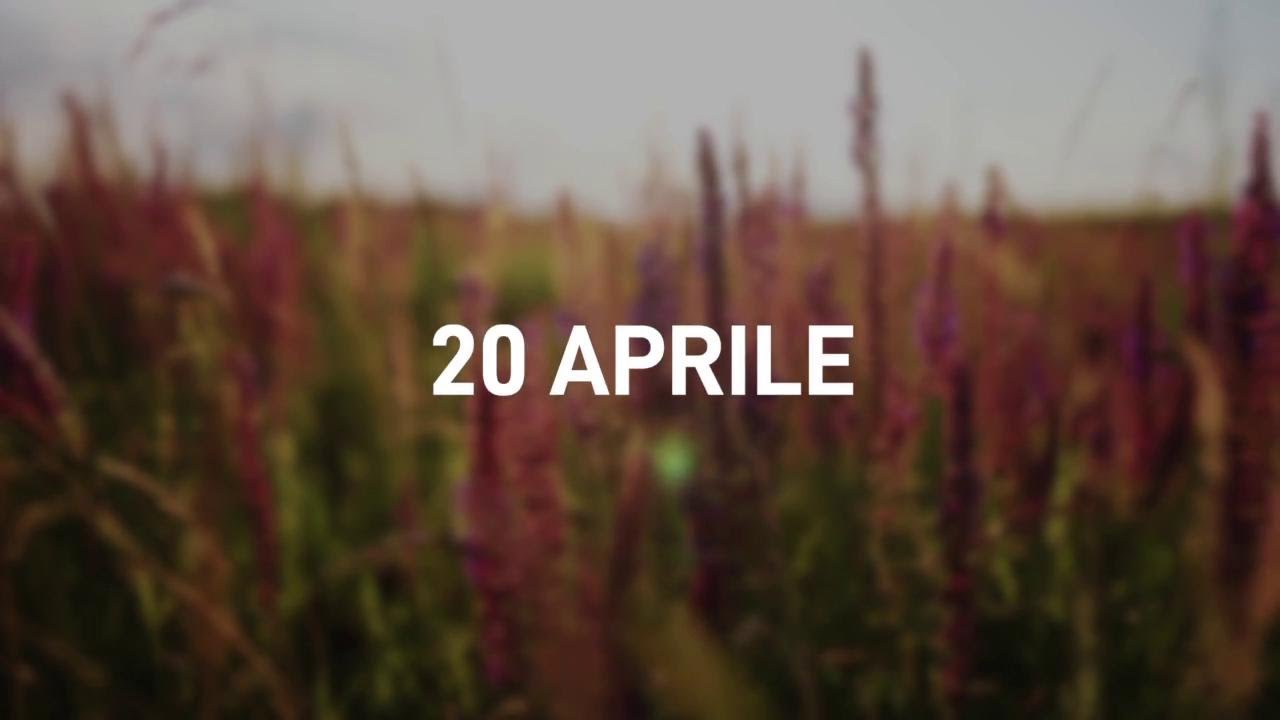 20 Aprile 2025 | Meditazione Parole di Vita