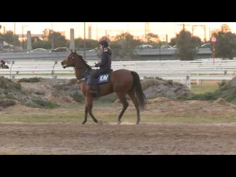 C.F. Orr Stakes Mark Kavangh