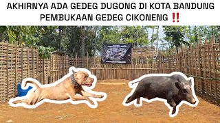 Download lagu FINALLY THERE IS A DUGONG BUILDING IN BANDUNG CITY ‼️ OPENING OF THE LEGEND BUILDING IN CIKONENG ... mp3 Download lagu FINALLY THERE IS A DUGONG BUILDING IN BANDUNG CITY ‼️ OPENING OF THE LEGEND BUILDING IN CIKONENG ... mp3