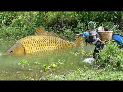 Catching 3000+ Giant River Catfish, Carp & Rohu by Hand to Sell at the Market, Fish Cooking Recipe