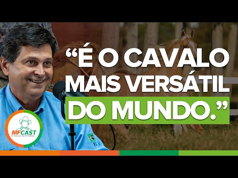HISTÓRIA DO CAVALO MAIS VERSÁTIL DO MUNDO, O QUARTO DE MILHA - MF CAST #04
