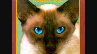 blink-182 - Touchdown Boy (1994 - Cheshire Cat)