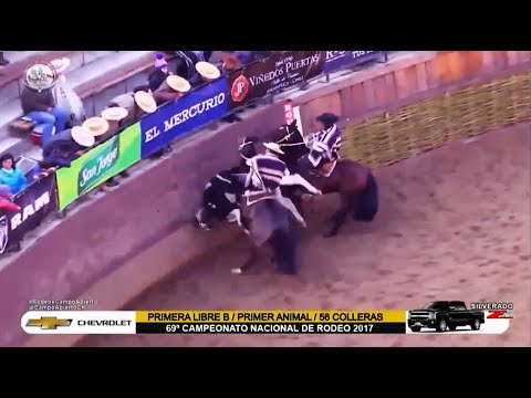 Rancagua 2017: Criadero Peleco con Gustavo Valdebenito y Cristóbal Cortina en Compadre y Estupendo