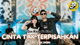 Download lagu ESA RISTY FT TADEUS WASESO – CINTA TAK TERPISAHKAN ( Live ) mp3 Download lagu ESA RISTY FT TADEUS WASESO – CINTA TAK TERPISAHKAN ( Live ) mp3