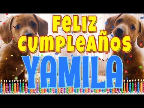 ¡Feliz Cumpleaños Yamila! (Perros hablando gracioso) ¡Muchas Felicidades Yamila!
