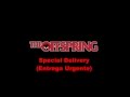 The Offspring- Special Delivery (Subtitulada al español)