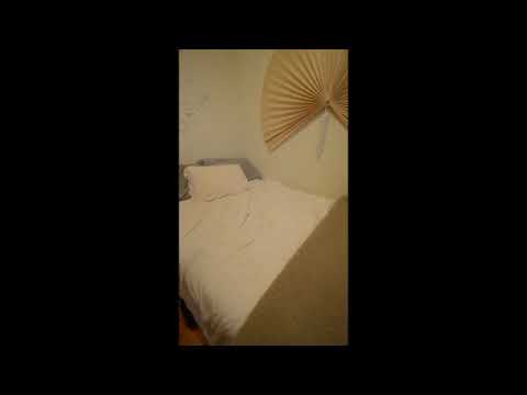 2Bedroom DePaul University Campus PetsWelcome - Video 2 of 2