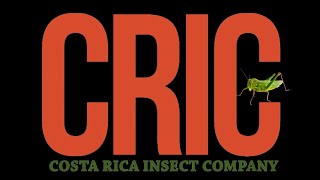 Costa Rica Insect Company