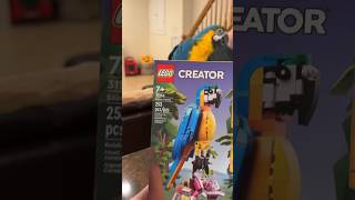 Real Parrot Watches Me Make LEGO Parrot #bird #animals
