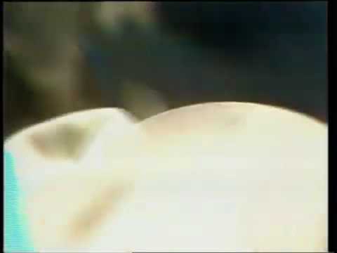 Michal Tučný - Pověste ho vejš (1983)