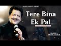 Tere Bin Ek Pal Udit Narayan Jaspinder Narula Nadeem Shravan Best Hindi Song