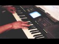 Roll with the wind by Alexander Rybak played on ...