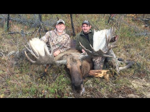 Giant yukon moose bow kill at 5 yards self guided drop hunt