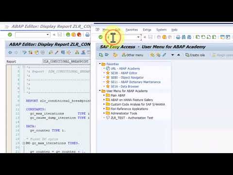 ABAP Debugger 101 - Ep8 - Endless Loop Breakpoint