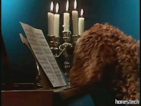 The Muppet Show: Rowlf - "Minuet in G Major"
