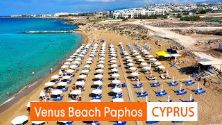 Venus Beach – The Best Sandy Spot in Paphos?