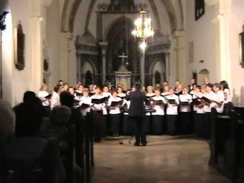 Komorný zbor Zvony (Selenča) - Sólisti