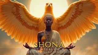 Download lagu Shona – Voices of the Ancestors | Spiritual Tribal Calm & Healing mp3 Download lagu Shona – Voices of the Ancestors | Spiritual Tribal Calm & Healing mp3