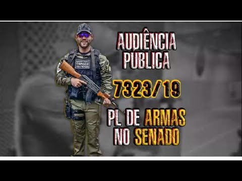 ÍNTEGRA DA INTERVENÇÃO DO DEP. ALEXANDRE LEITE NA AUDIÊNCIA PÚBLICA DO PL 3723 NO SENADO