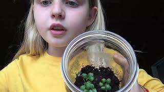 Biome Jar experiment