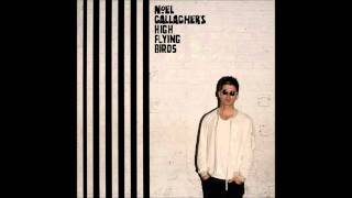 Noel Gallagher's High Flying Birds - While The Song Remains The Same