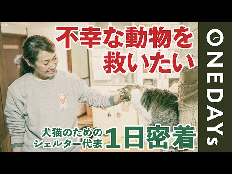 庭で動物保護を強化するための 5 つのヒント 自然と動物