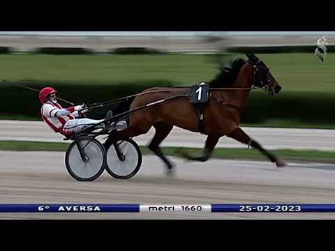Aversa trotto 25 Febbraio 2023 - 6° Corsa
