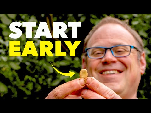 The Clever Reason Smart Gardeners Start Seeds in Milk Jugs