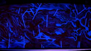 Mind Over Mirrors Presents "Bellowing Sun" (Official Trailer)