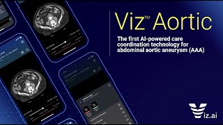 Viz Aortic