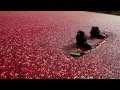Wakeboarding a cranberry bog