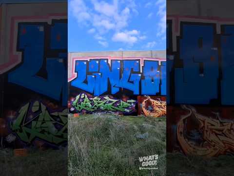 Ling + Bailer + Denter going large 💯🔥 #whatsgood #graffiti #melbourne #shorts