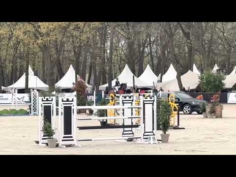 Duco Z by Dakar tn x Riverman @ 1m60 NK CH Deurne